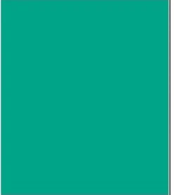 Antifouling International Trilux 33 matrice dure 0.75L Vert