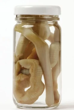 Appât en conserve naturelle Grauvell Bibis
