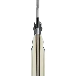 Arbalète fusil harpon chasse sous marine Pathos Laser Evo pro 60 cm