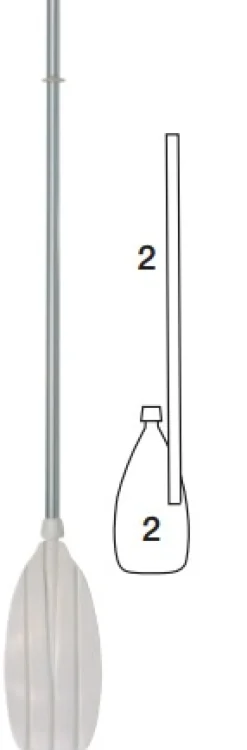 Avirons Bravo 150 cm