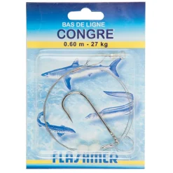 Bas de ligne à Congre
