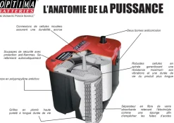 Batterie Optima Yellow YTS 2.1IL 55AH