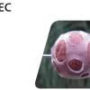 Boilies Protec Prowess 27 mm X 10