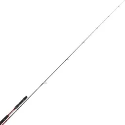 Canne à pêche spinning Daiwa Tournament SW AGS