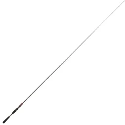 Canne casting Daiwa Steez AGS