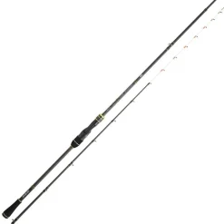 Canne casting Daiwa Team Daiwa Tenya