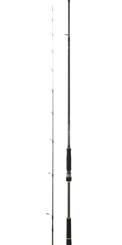 Canne Daiwa BG Tenya