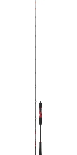 Canne Daiwa Powermesh Jigging