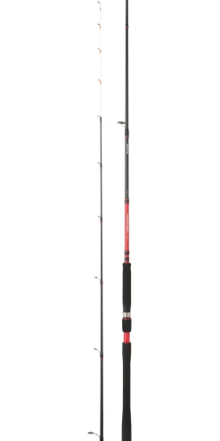 Canne Daiwa Powermesh Tenya