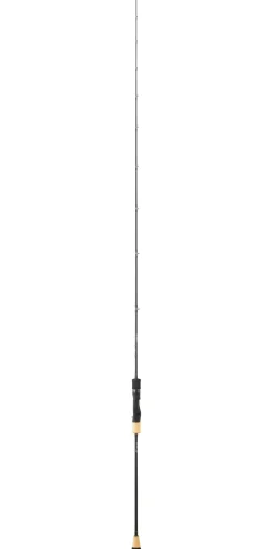 Canne Daiwa Saltiga Slow Jigging