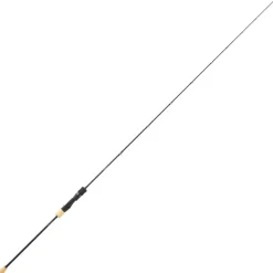 Canne Daiwa Saltiga Slow Jigging