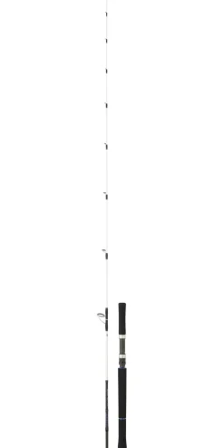 Canne Daiwa Saltist OFF Shore
