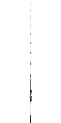 Canne Daiwa Saltist OFF Shore