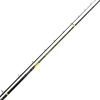 Canne silure Black Cat Perfect Passion Long Range