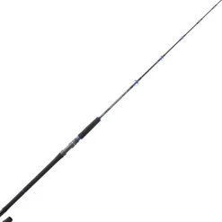 Canne Sunset Tuna control