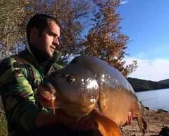 Carpes en grands lacs : St Cassien - Salagou - Cabanac (2 DVD) avec Nicolas Migeon