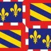 Drapeau Décomarine Bourgogne  90 x 150