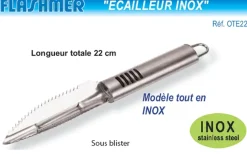 Ecailleur Inox 22 cm