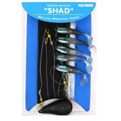 Ecoline Traine Bateau Shad