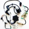 Kit allumage pour moteur Parsun F4