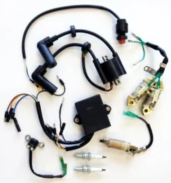 Kit allumage pour moteur Parsun F6 bi-cylindre
