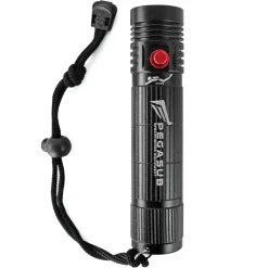 Lampe de plongée Pegasub Led Diving Light 500 lumens