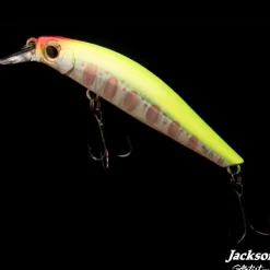 Leurre Jackson Artist FR55