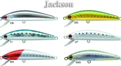 Leurre Jackson Pintail Tune 6 gr
