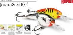 Leurre Rapala Jointed Shad Rap 5 cm 8 gr