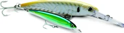 Leurre Rapala X-Rap Magnum 16 cm 77 gr