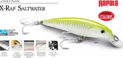 Leurre Rapala X-Rap Saltwater 12 cm 22 cm