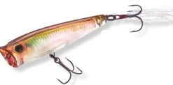 Leurre Yo-Zuri 3DR Popper 6,5 cm 7 gr