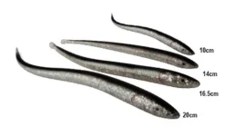 Leurres Sandeel Slug's 20 cm Savagear