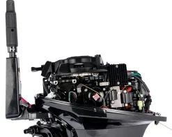 Moteur thermique Parsun ABML 20 CV