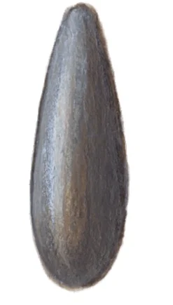 Olivettes torpilles sachet de 5