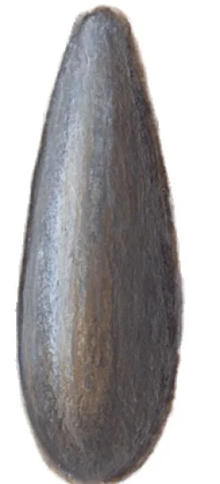 Olivettes torpilles sachet de 100
