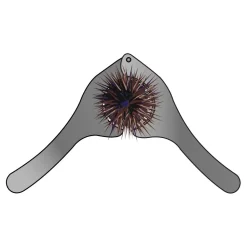 Pince à Oursin Flashmer inox