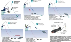 Pince Cannon Offshore Saltwater Line Release