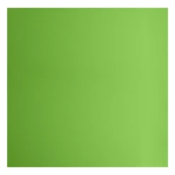 Plaque de pad EVA 5MM 50x50cm Vert clair