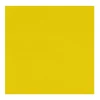 Plaque de PVC Paddle Kayak 50x50CM Jaune