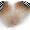 Plumes JMC Wood Duck