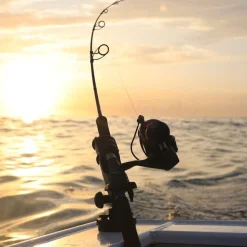 Porte canne Railblaza Hexx rod Holder II avec Base Hexx