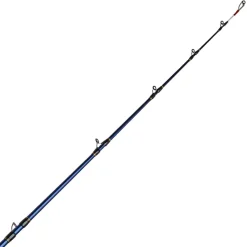 Scion de canne Daiwa Tanacom boat 200G