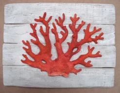 Sculpture Corail sur Cadre