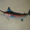 Sculpture Murale Demi Coque Marlin Bleu