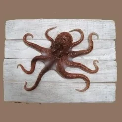 Sculpture Poulpe sur Cadre