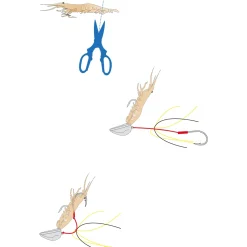 Tenya Explorer Tackle Magic Deep