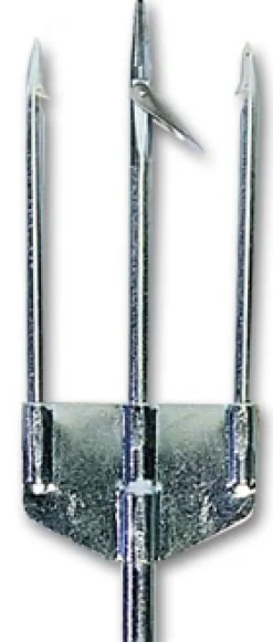 Trident Coralign Pro Duplex