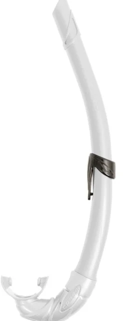 Tuba corsica blanc